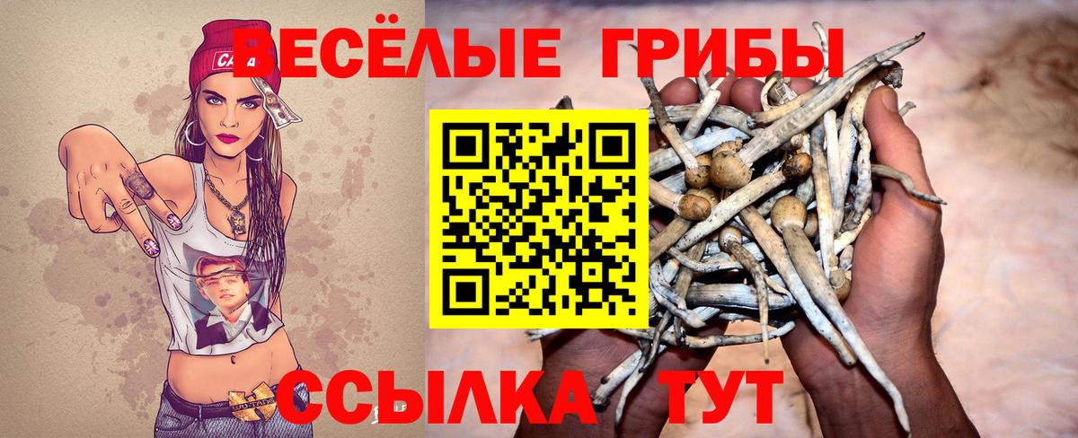 Псилоцибиновые грибы GOLDEN TEACHER Иркутск