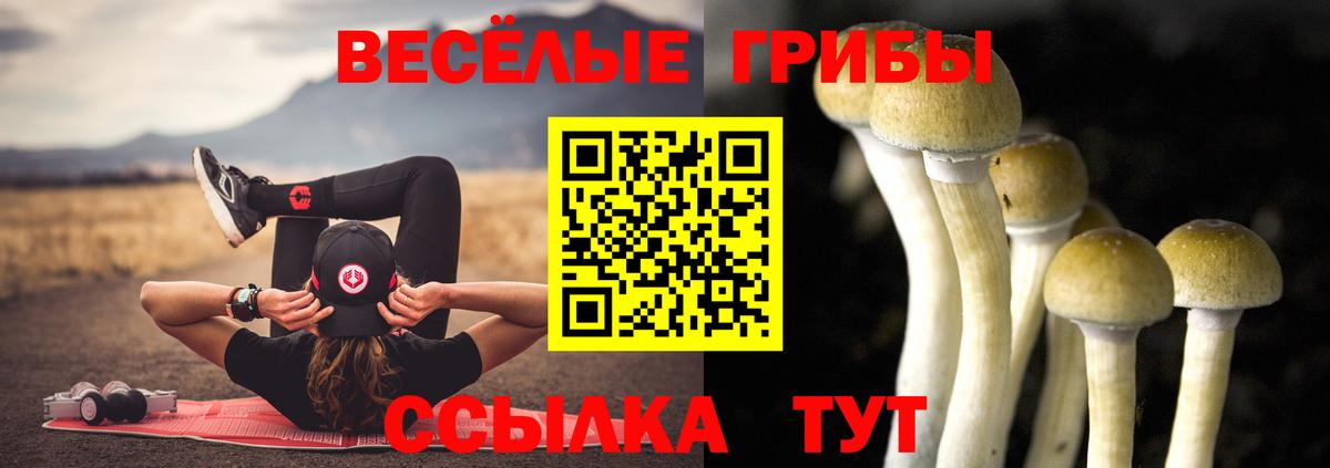 Галлюциногенные грибы ЛСД  Вход с VPN  как найти   Иркутск 